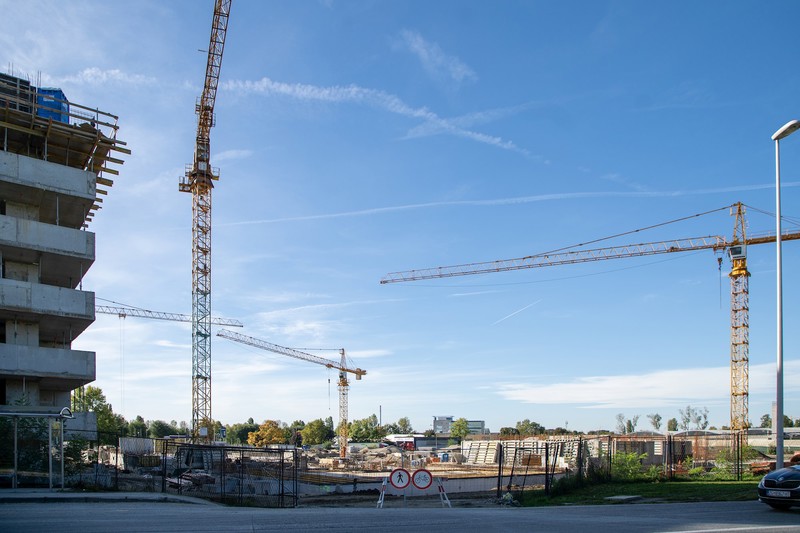 Borongaj, GIP Pionir