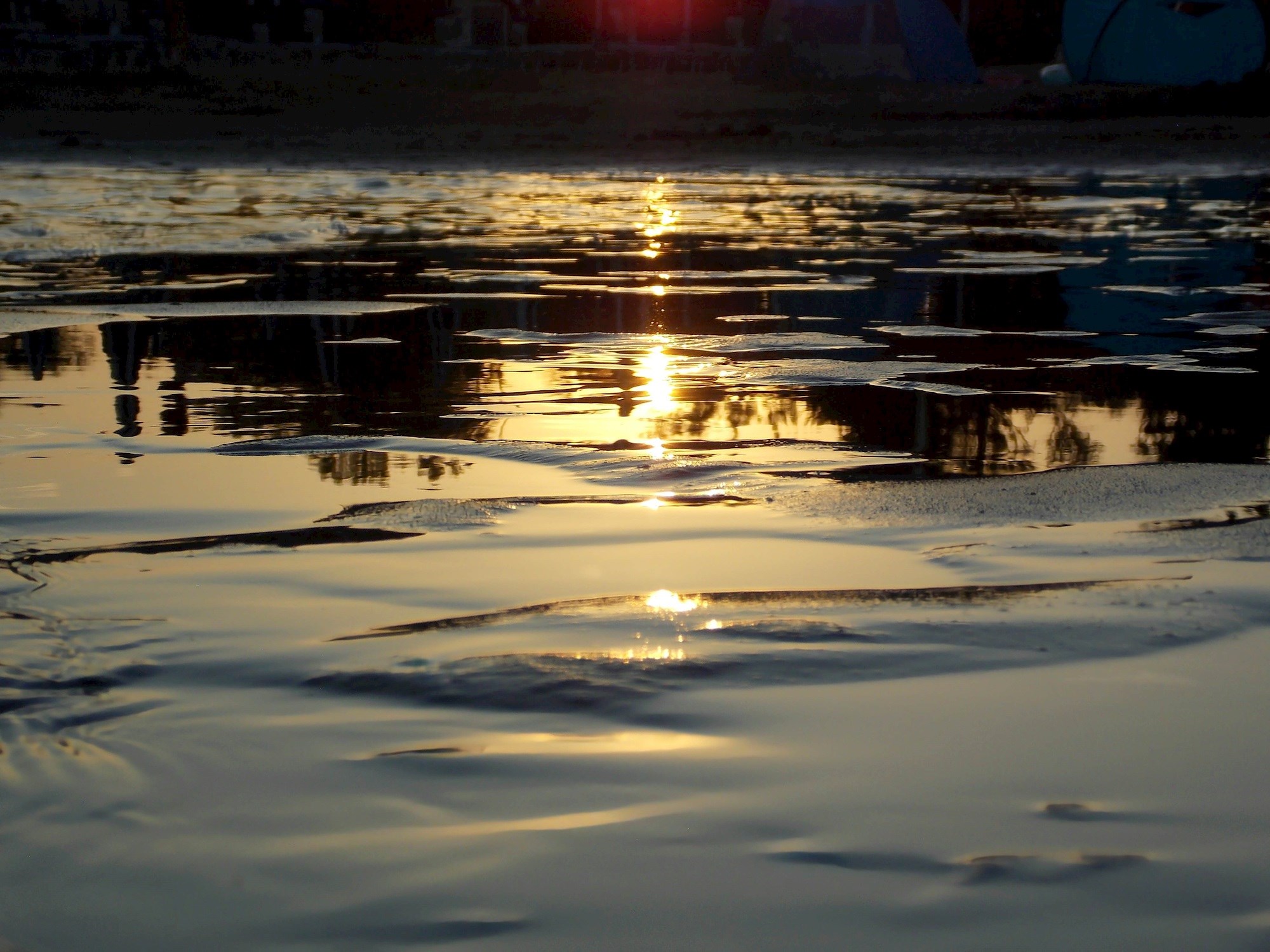 Pobjednička fotografija