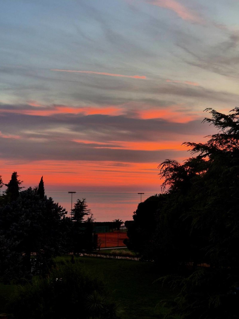 Novigrad