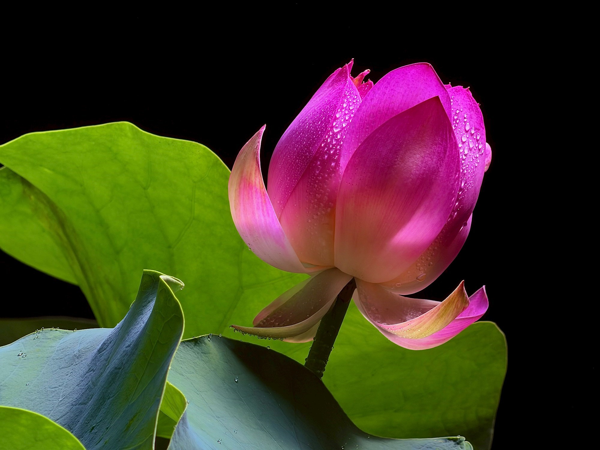 Fotografija snimljena s iPhoneom 17 Pro