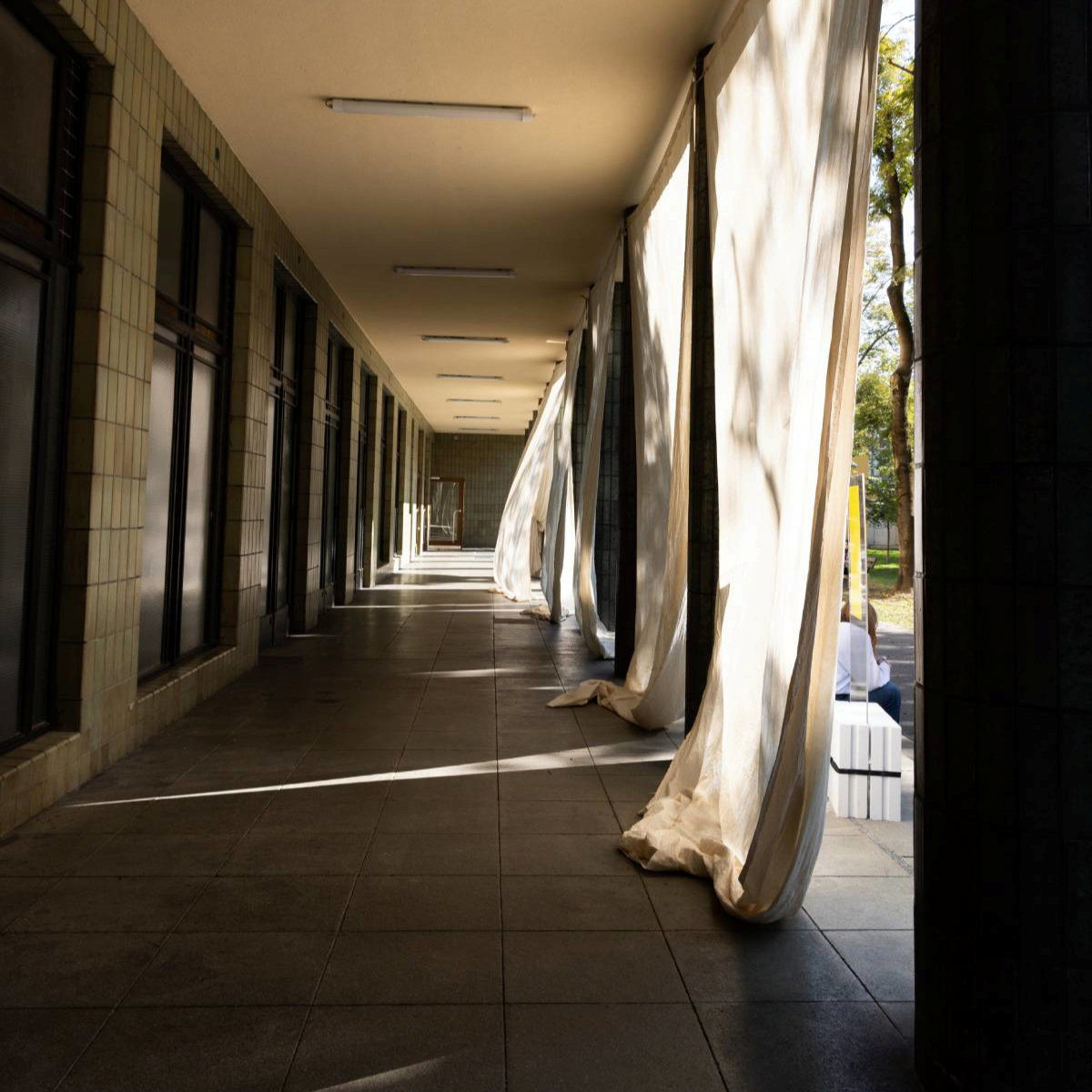 Učiteljski fakultet