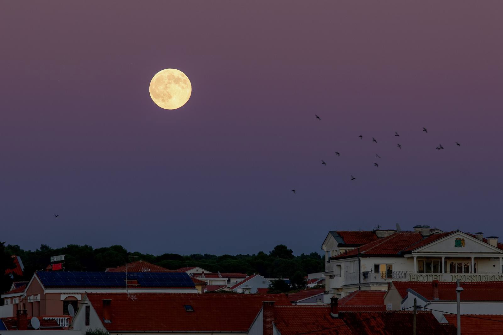 Zadar