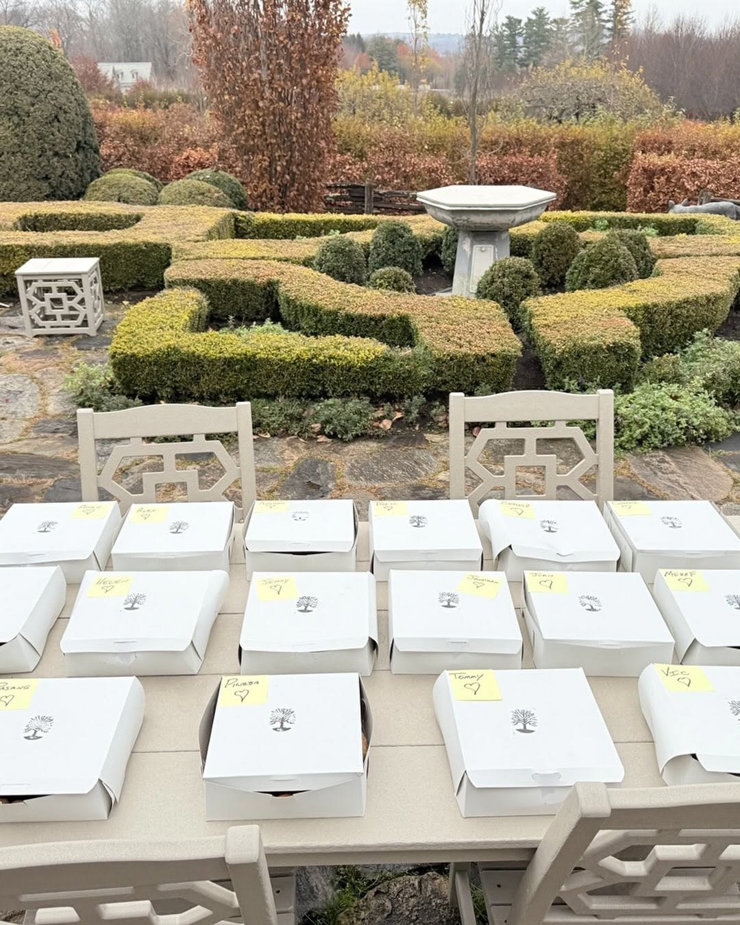 Martha Stewart ispekla je 25 pita povodom Dana zahvalnosti.