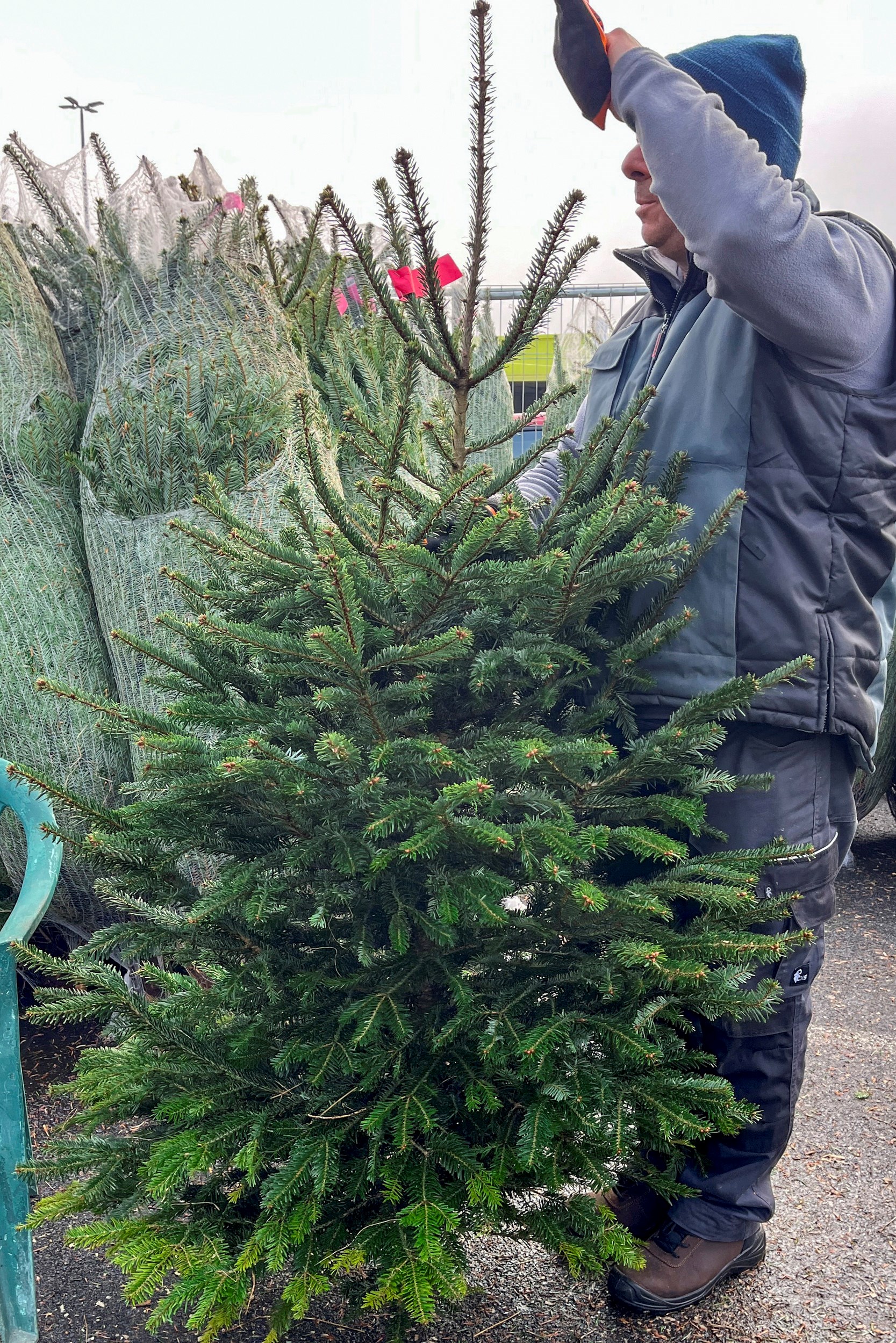 Kod City Center one West