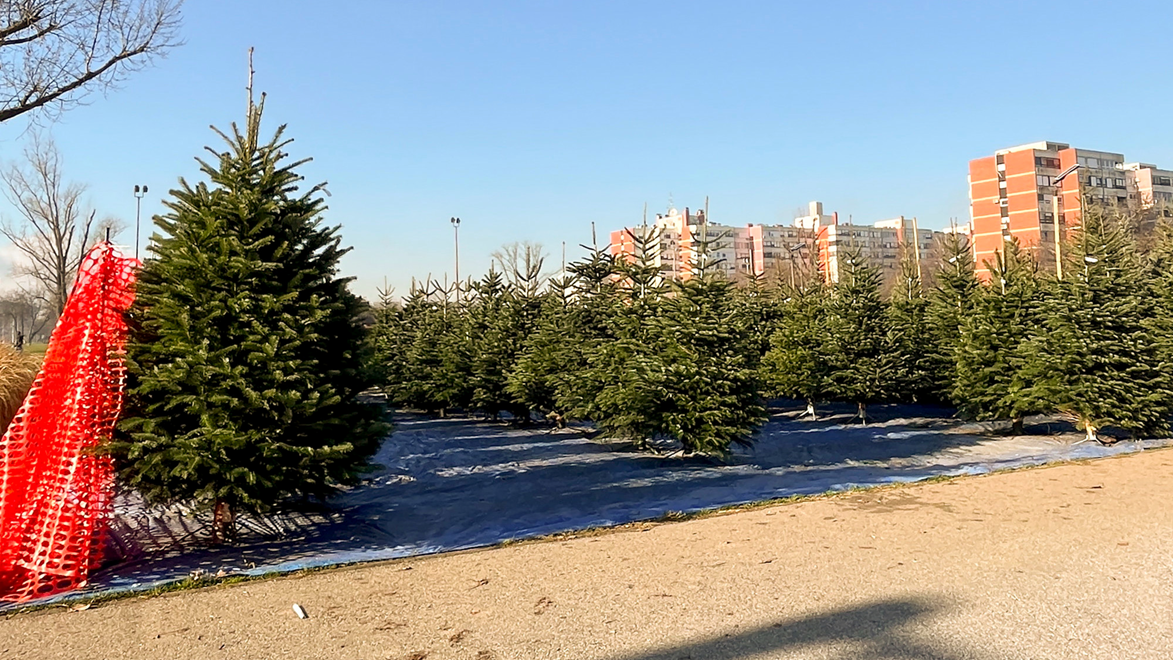 Kod tržnice Špansko