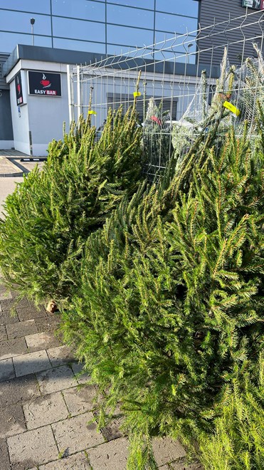 Ispred Kauflanda na Zagrebačkoj cesti