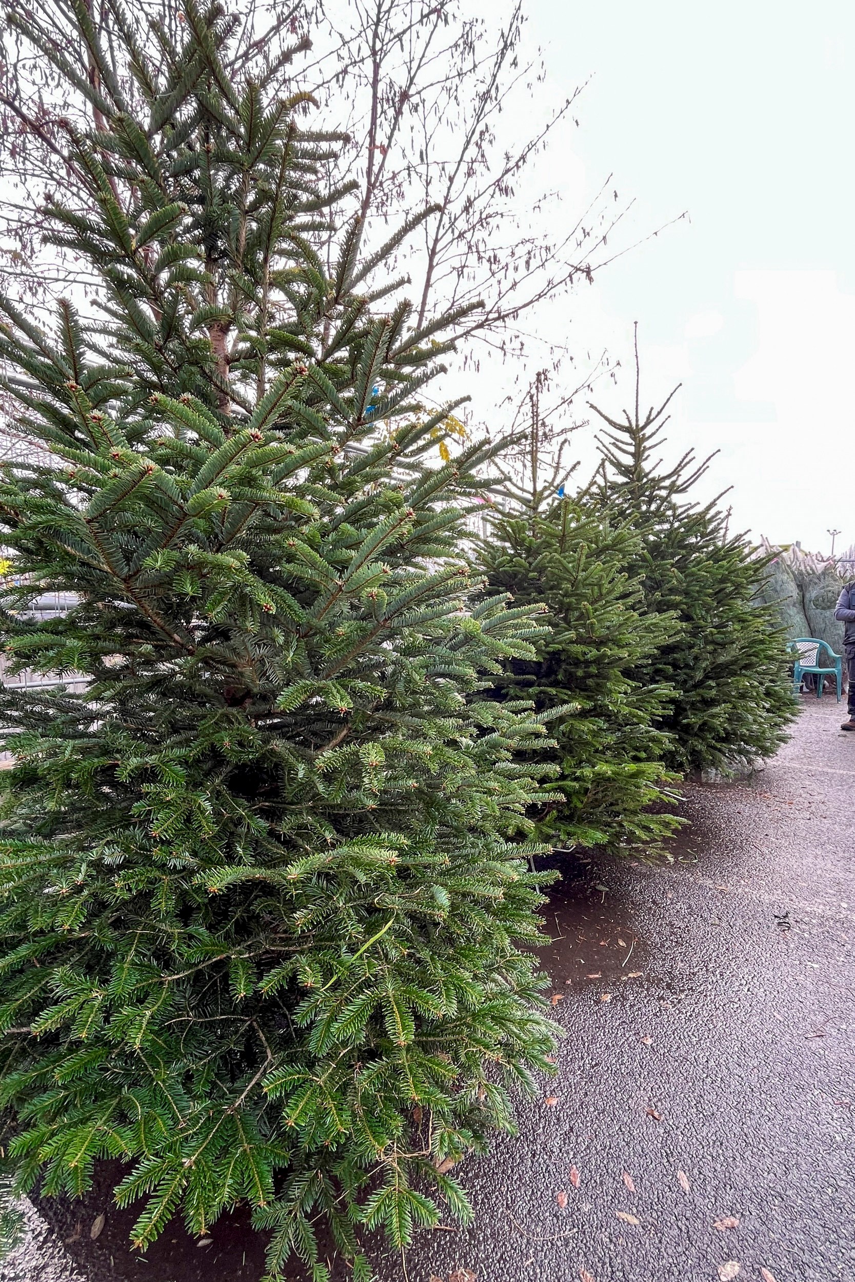 Kod City Center one West