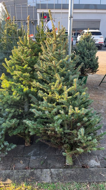 Ispred Kauflanda na Zagrebačkoj cesti