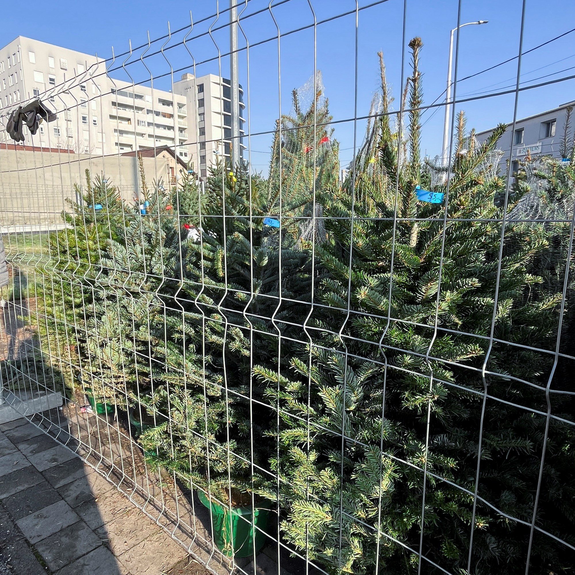 Ispred Kauflanda na Zagrebačkoj cesti