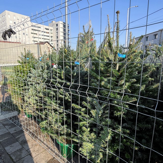 Ispred Kauflanda na Zagrebačkoj cesti