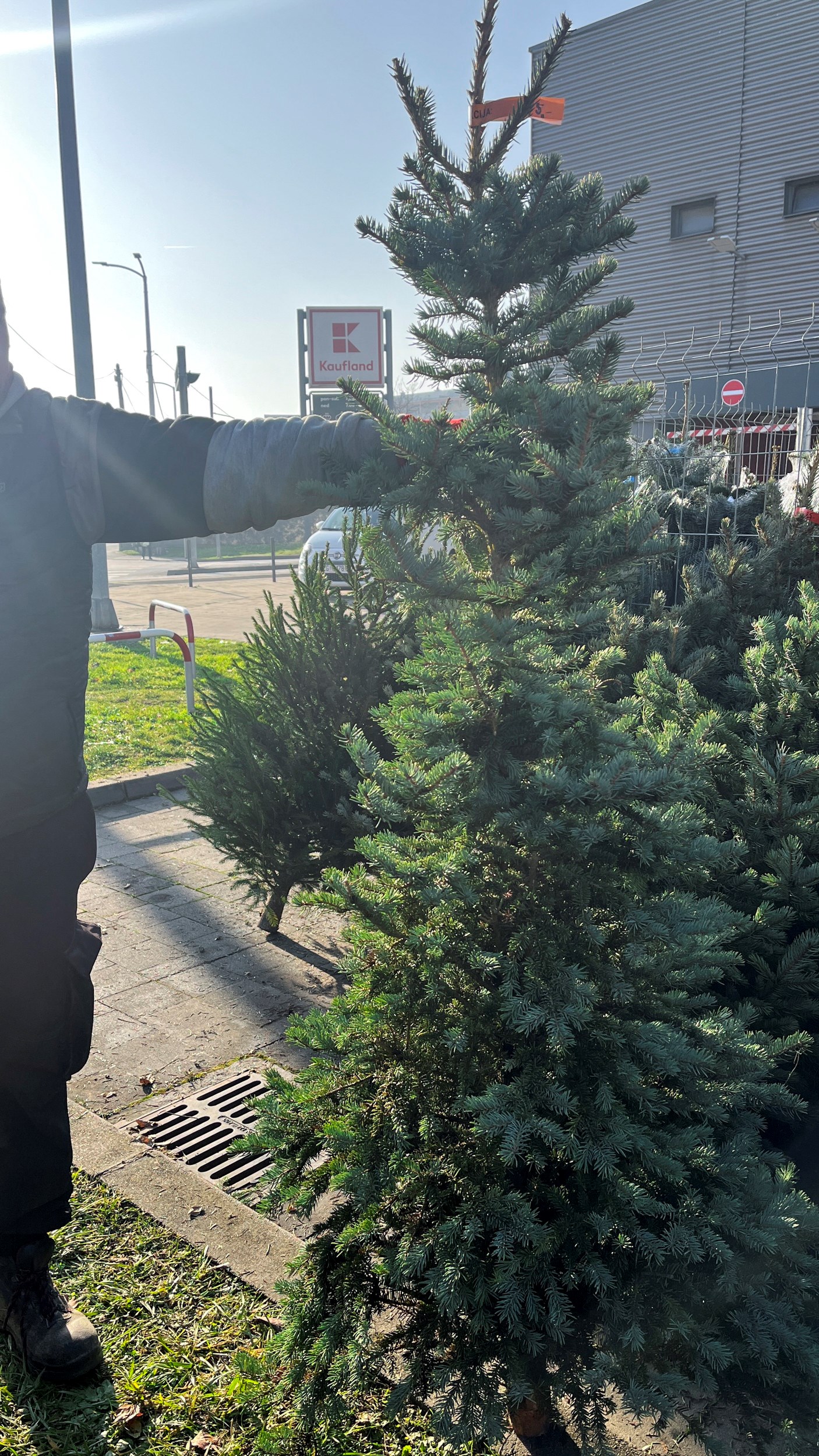 Ispred Kauflanda na Zagrebačkoj cesti