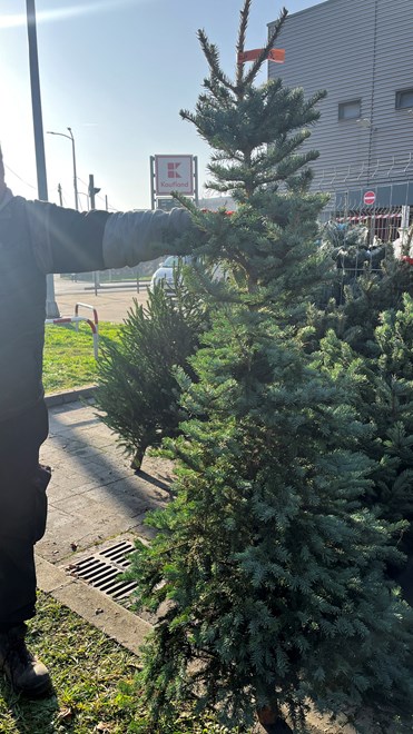 Ispred Kauflanda na Zagrebačkoj cesti