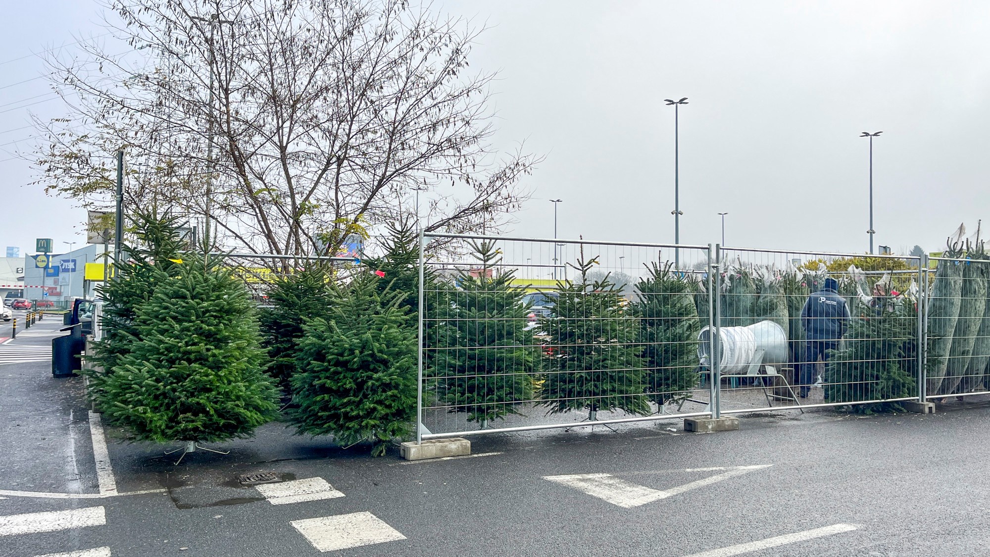 Kod City Center one West