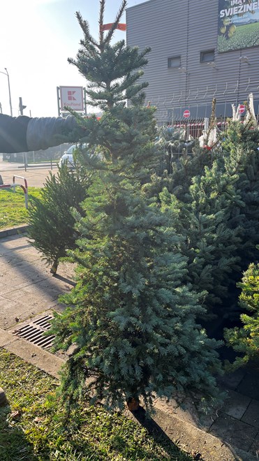 Ispred Kauflanda na Zagrebačkoj cesti