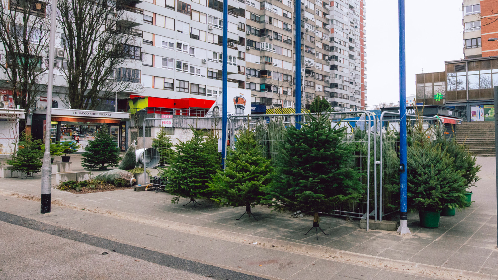 Travno