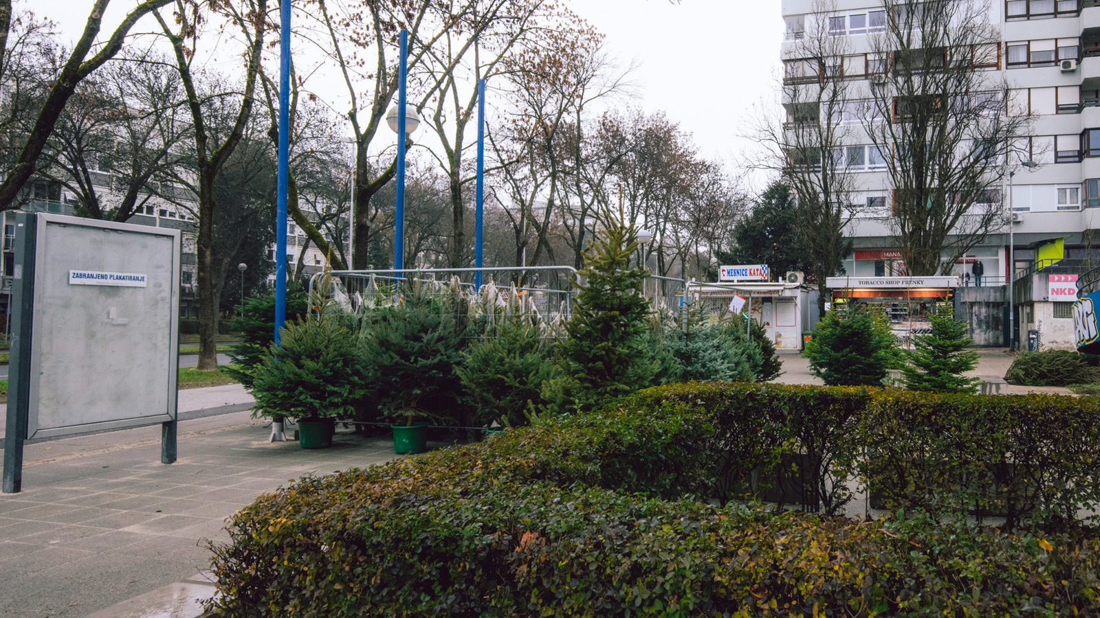 Travno