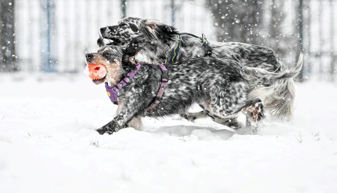 VELIKA GALERIJA 50 nestvarnih fotki iz svih dijelova Hrvatske