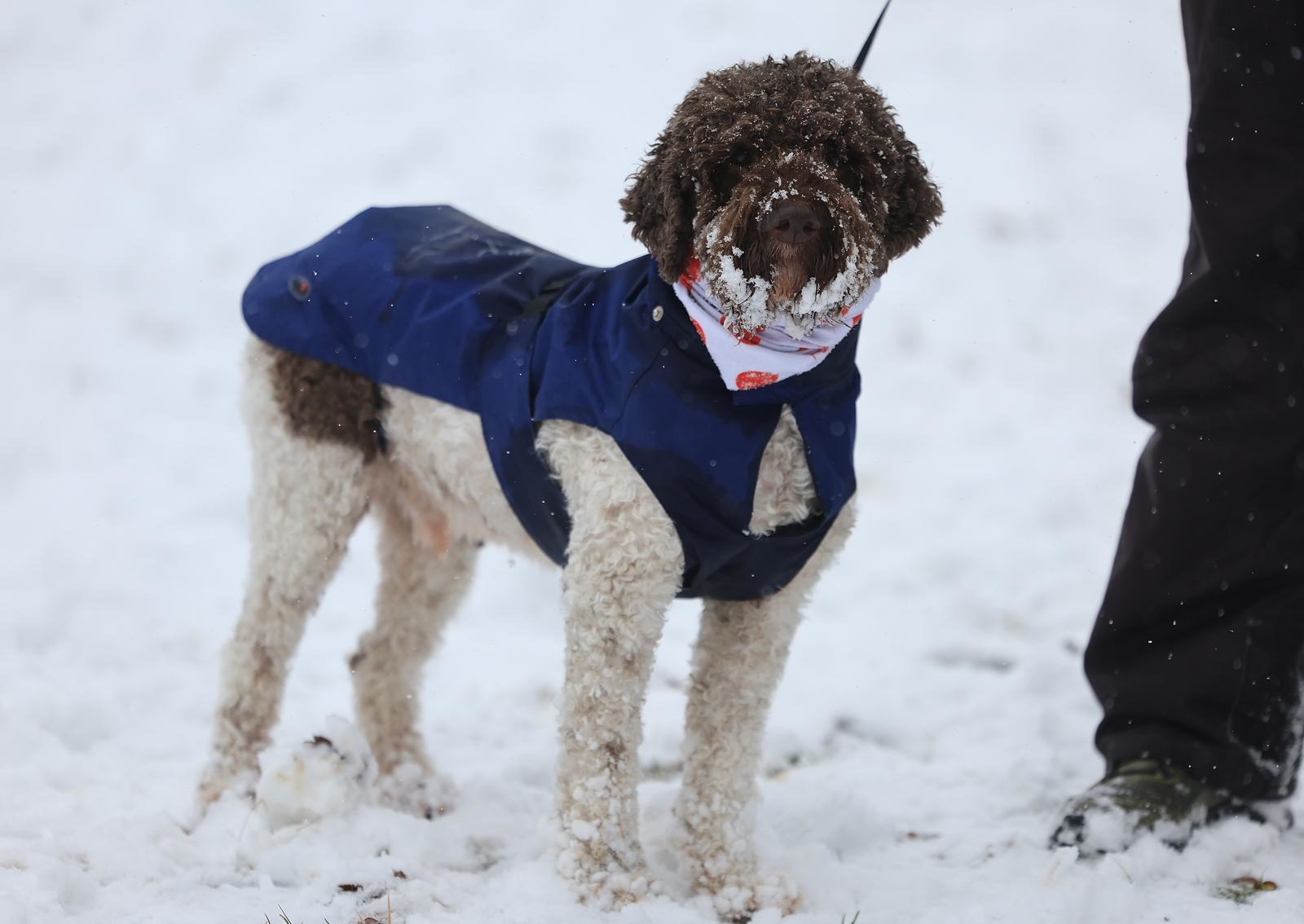 VELIKA GALERIJA 50 nestvarnih fotki iz svih dijelova Hrvatske