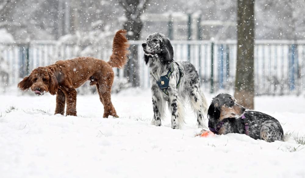 VELIKA GALERIJA 50 nestvarnih fotki iz svih dijelova Hrvatske