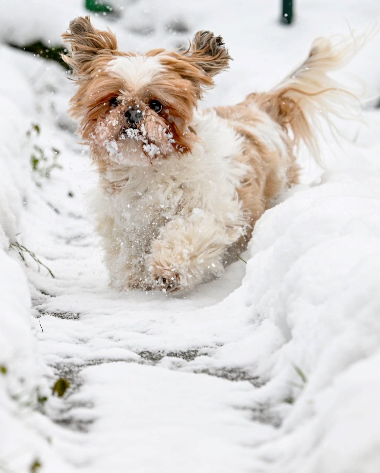VELIKA GALERIJA 50 nestvarnih fotki iz svih dijelova Hrvatske