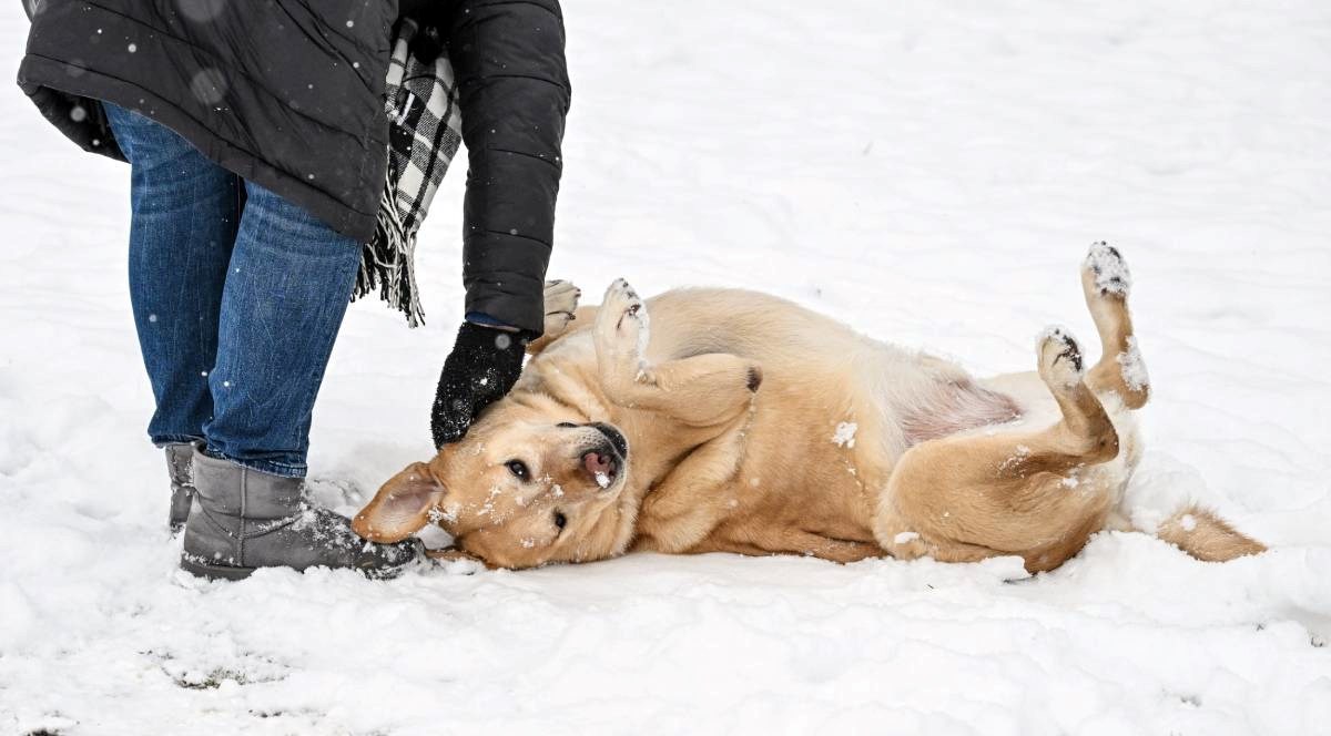 VELIKA GALERIJA 50 nestvarnih fotki iz svih dijelova Hrvatske