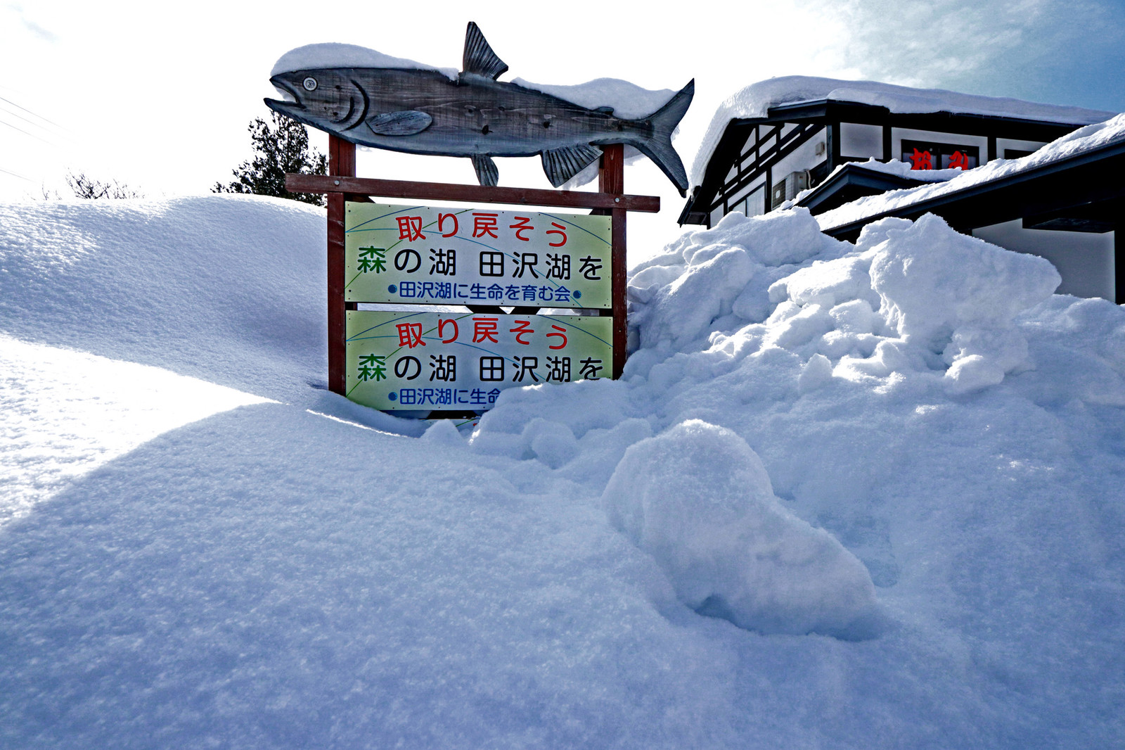 Aomori, Japan