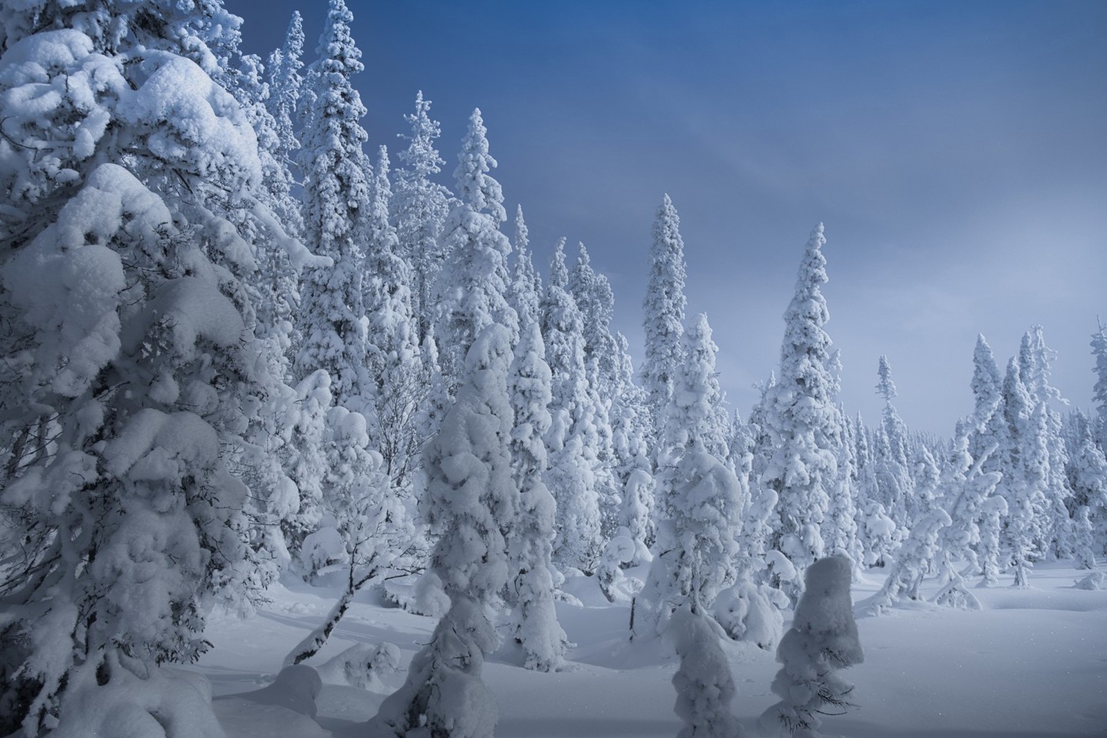 Saguenay, Kanada
