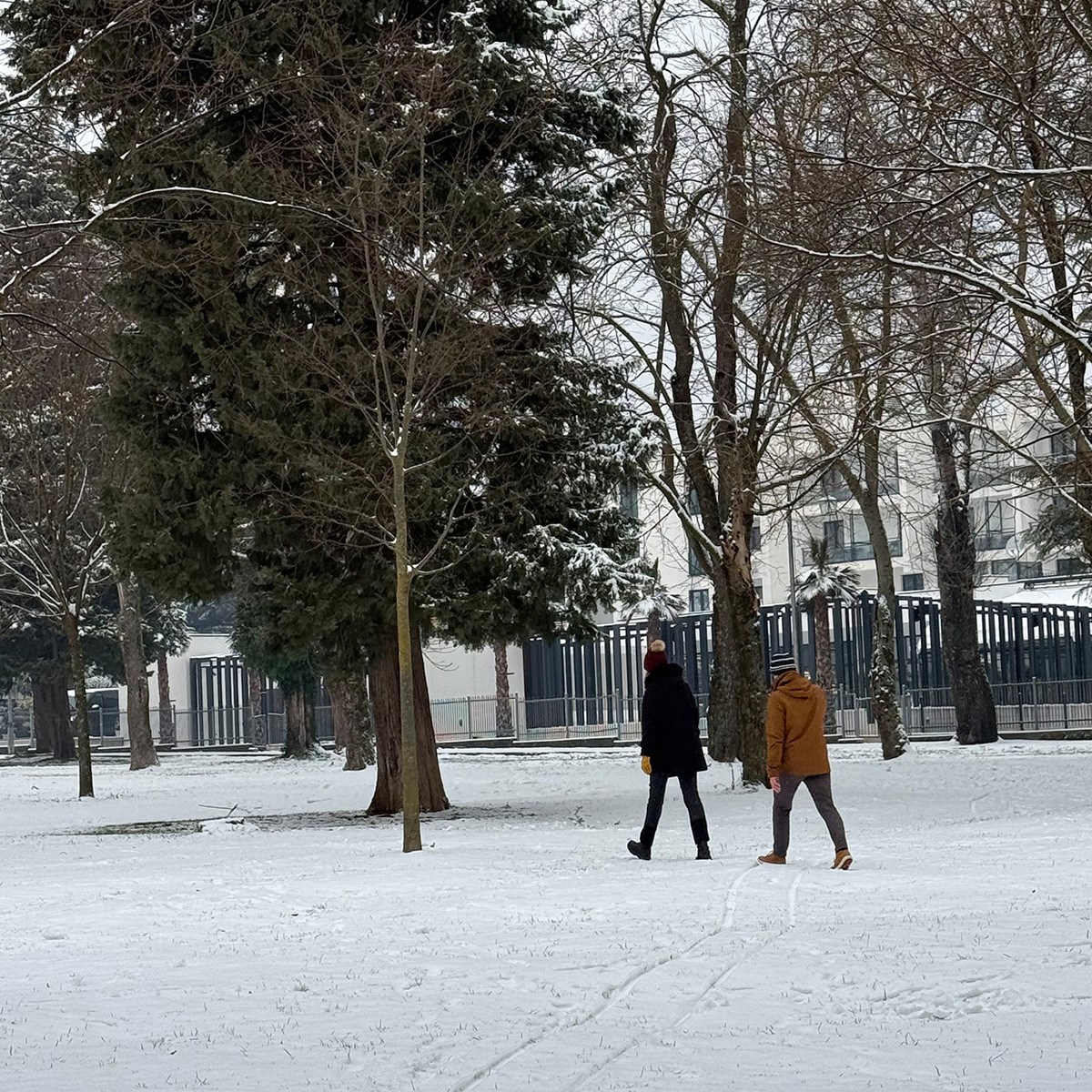 FOTO I VIDEO Snježne pahulje zabijelile Dalmaciju. Grudanje, smijeh i zimska čarolija