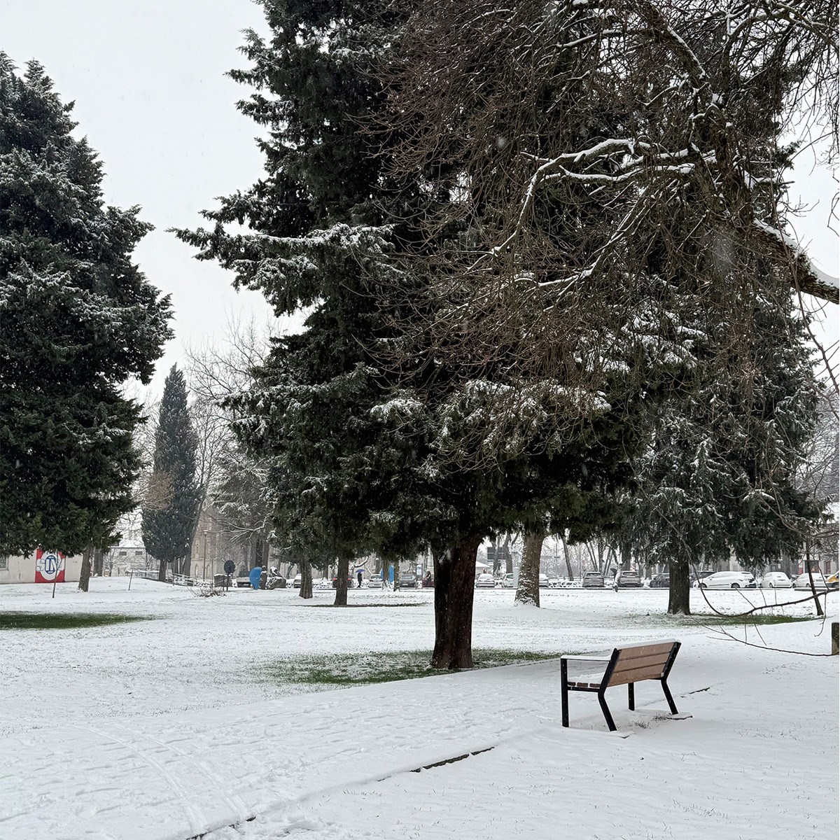 FOTO I VIDEO Snježne pahulje zabijelile Dalmaciju. Grudanje, smijeh i zimska čarolija