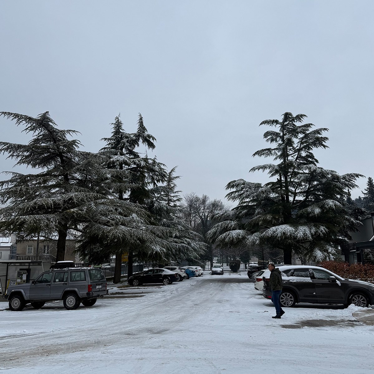 FOTO I VIDEO Snježne pahulje zabijelile Dalmaciju. Grudanje, smijeh i zimska čarolija