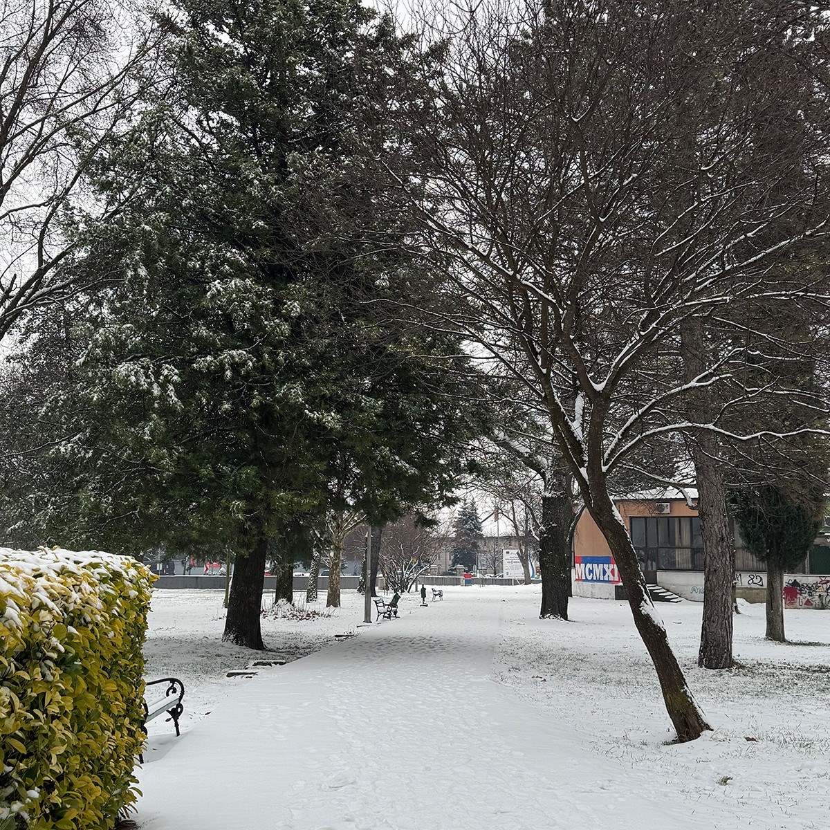 FOTO I VIDEO Snježne pahulje zabijelile Dalmaciju. Grudanje, smijeh i zimska čarolija