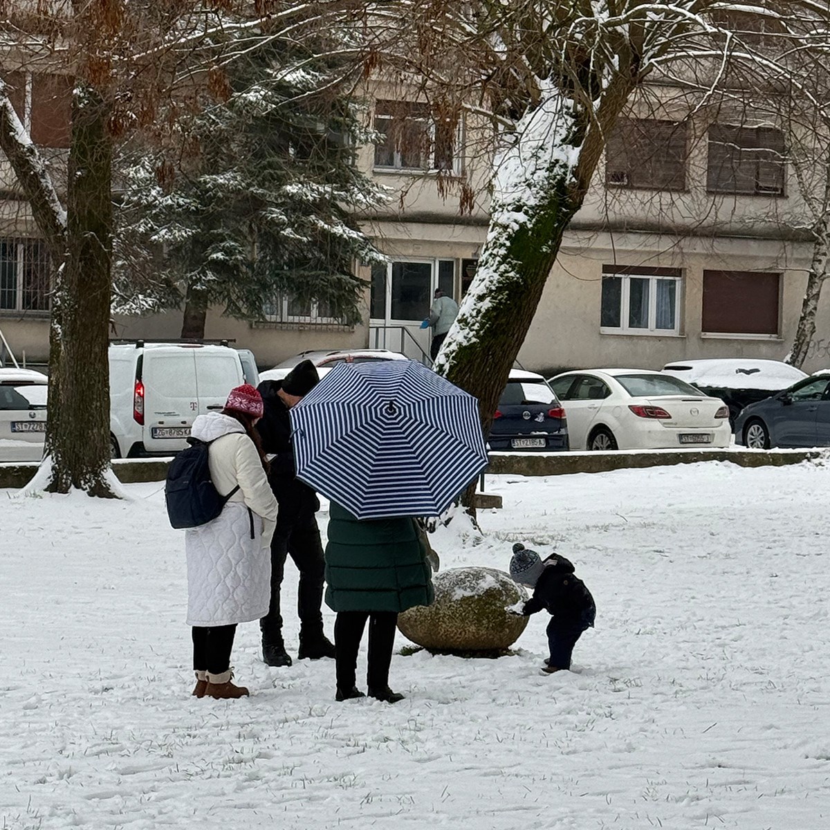 FOTO I VIDEO Snježne pahulje zabijelile Dalmaciju. Grudanje, smijeh i zimska čarolija