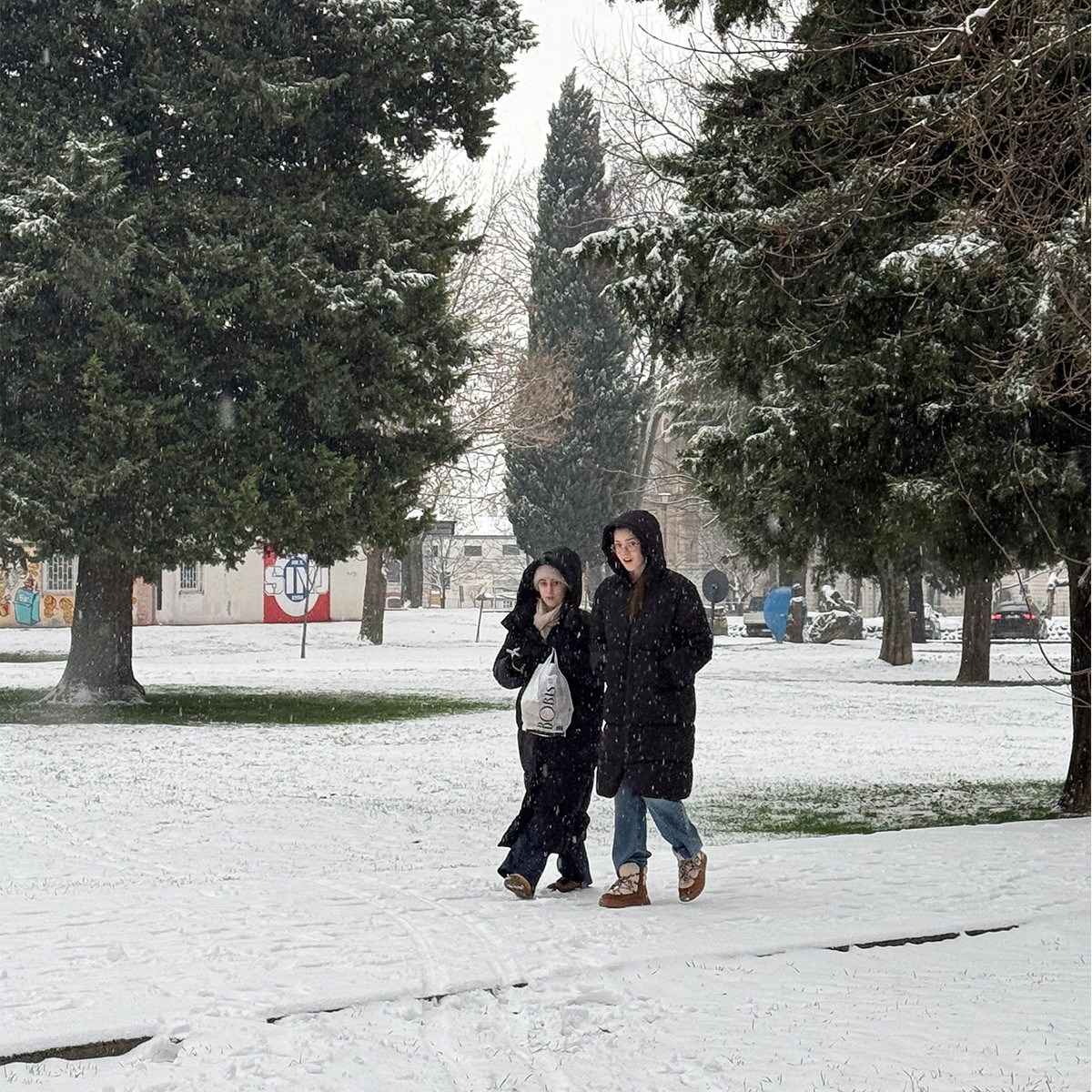 FOTO I VIDEO Snježne pahulje zabijelile Dalmaciju. Grudanje, smijeh i zimska čarolija