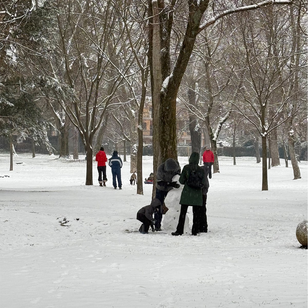 FOTO I VIDEO Snježne pahulje zabijelile Dalmaciju. Grudanje, smijeh i zimska čarolija