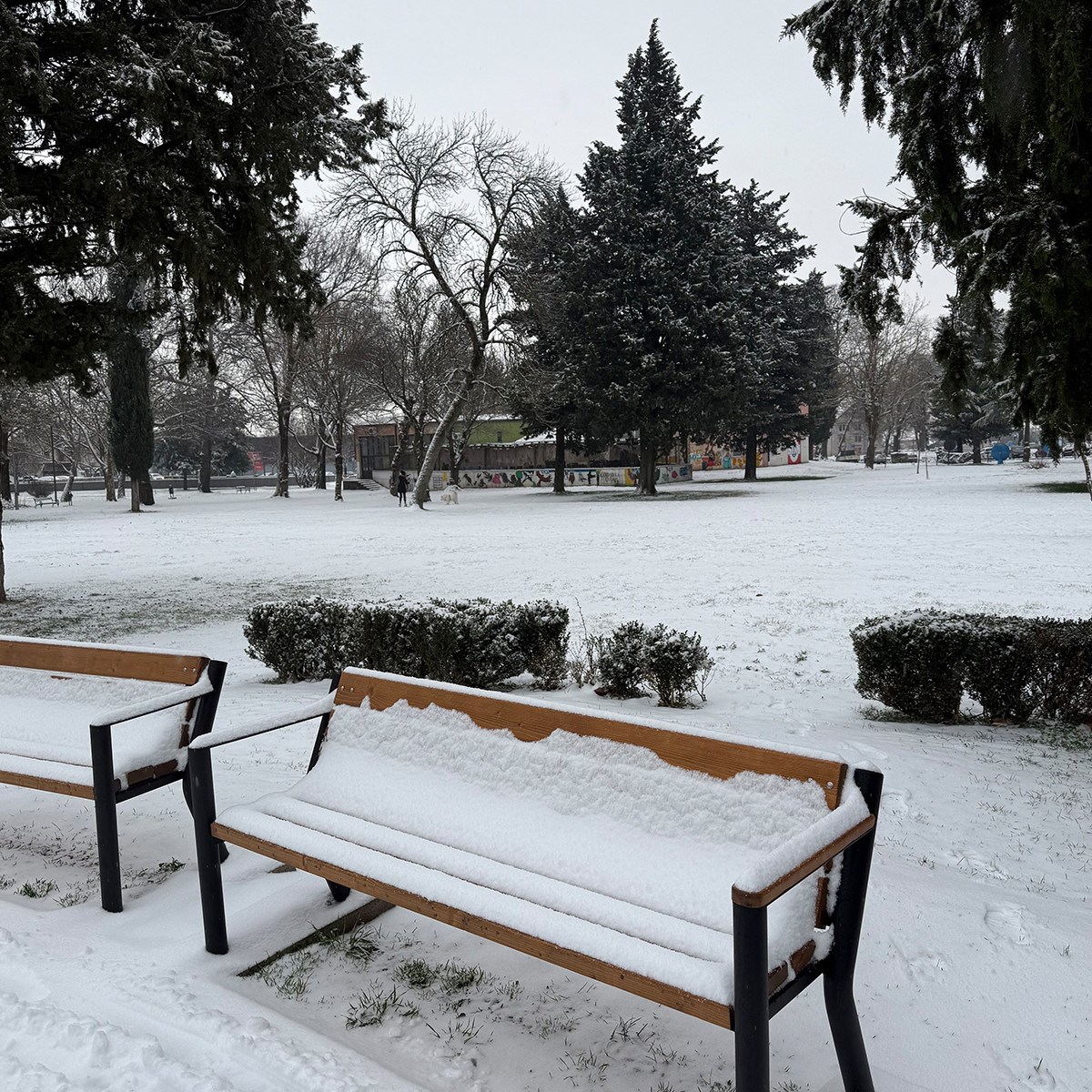 FOTO I VIDEO Snježne pahulje zabijelile Dalmaciju. Grudanje, smijeh i zimska čarolija