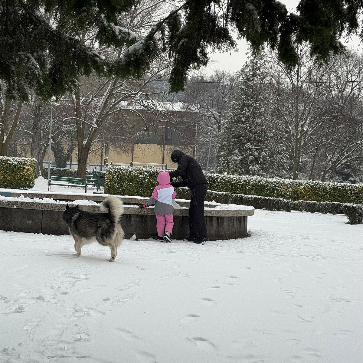 FOTO I VIDEO Snježne pahulje zabijelile Dalmaciju. Grudanje, smijeh i zimska čarolija