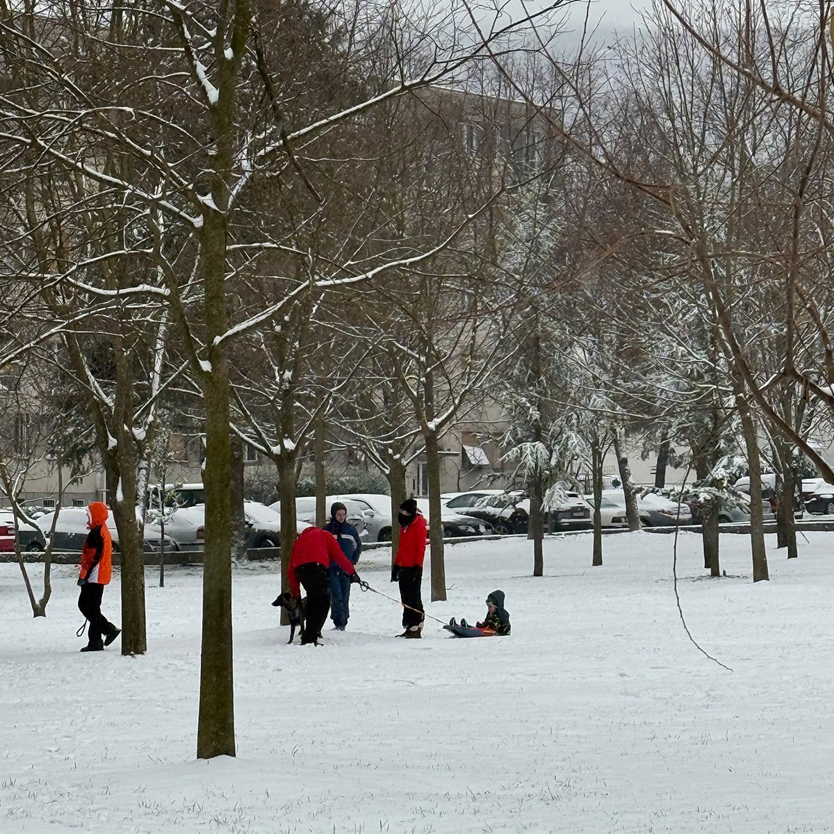 FOTO I VIDEO Snježne pahulje zabijelile Dalmaciju. Grudanje, smijeh i zimska čarolija
