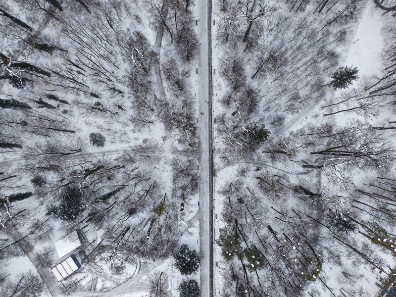 Maksimir