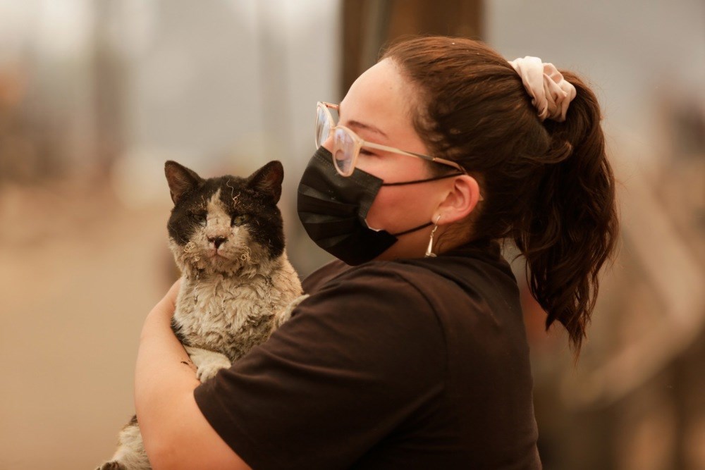 FOTO Požari u Čileu odnijeli 19 života, masovne evakuacije stanovnika