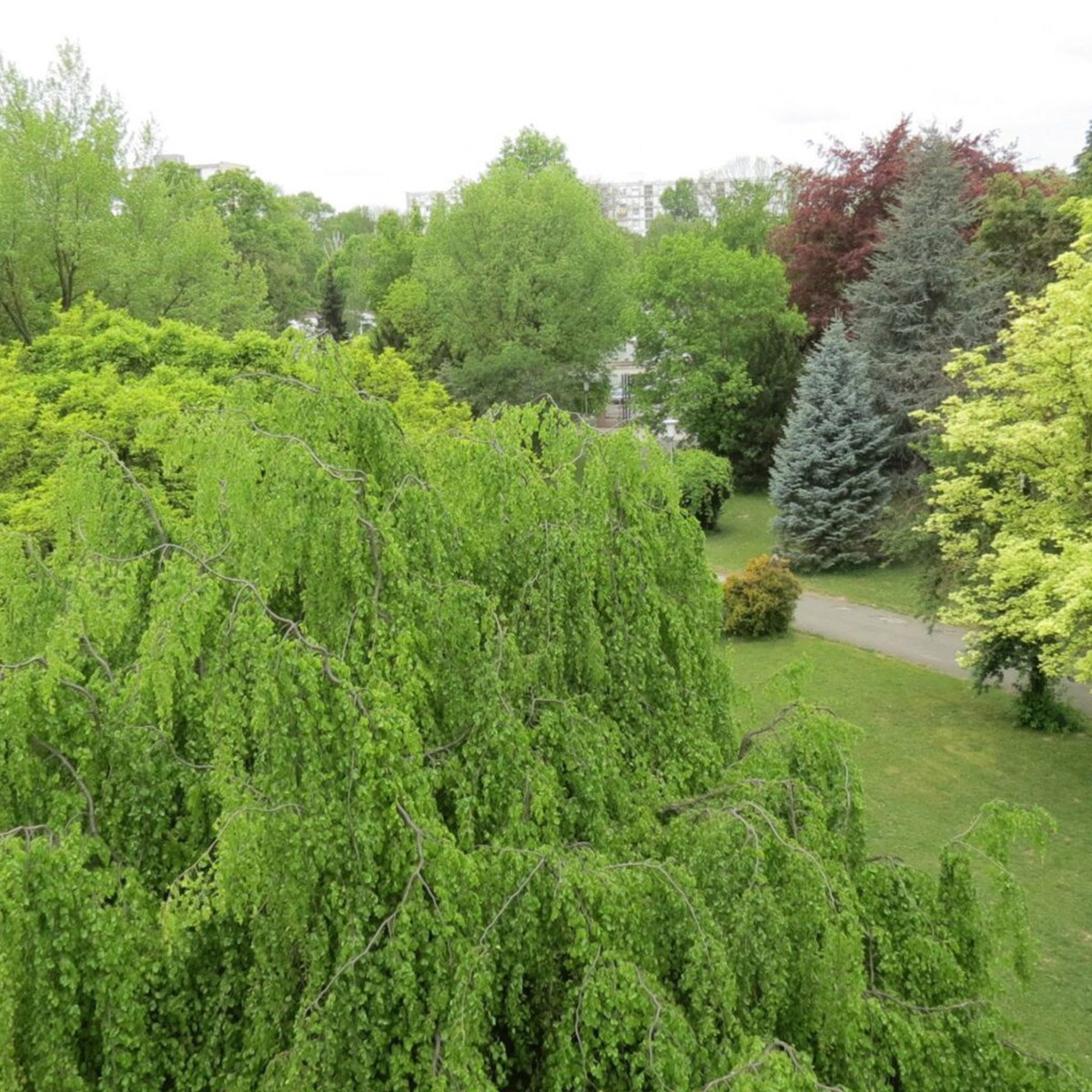 FOTO Tajnoviti gigant iz Novog Zagreba je ugašen. "Sad je sve gotovo"