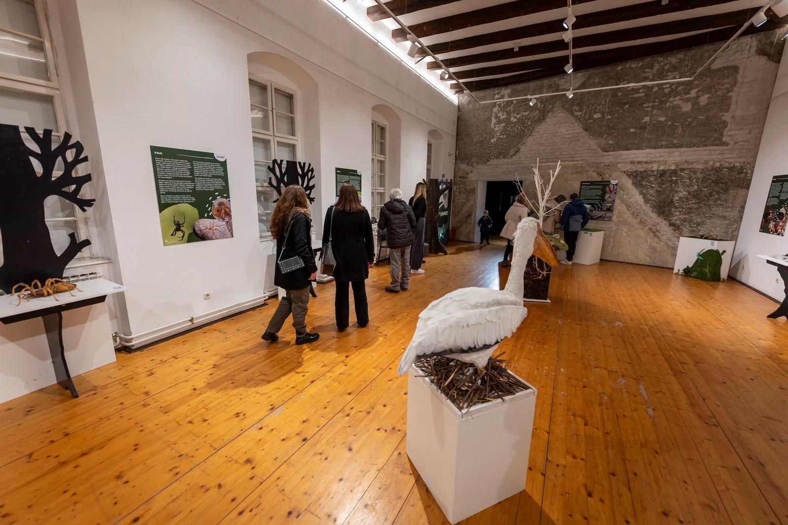 Muzej Slavonije u Osijeku