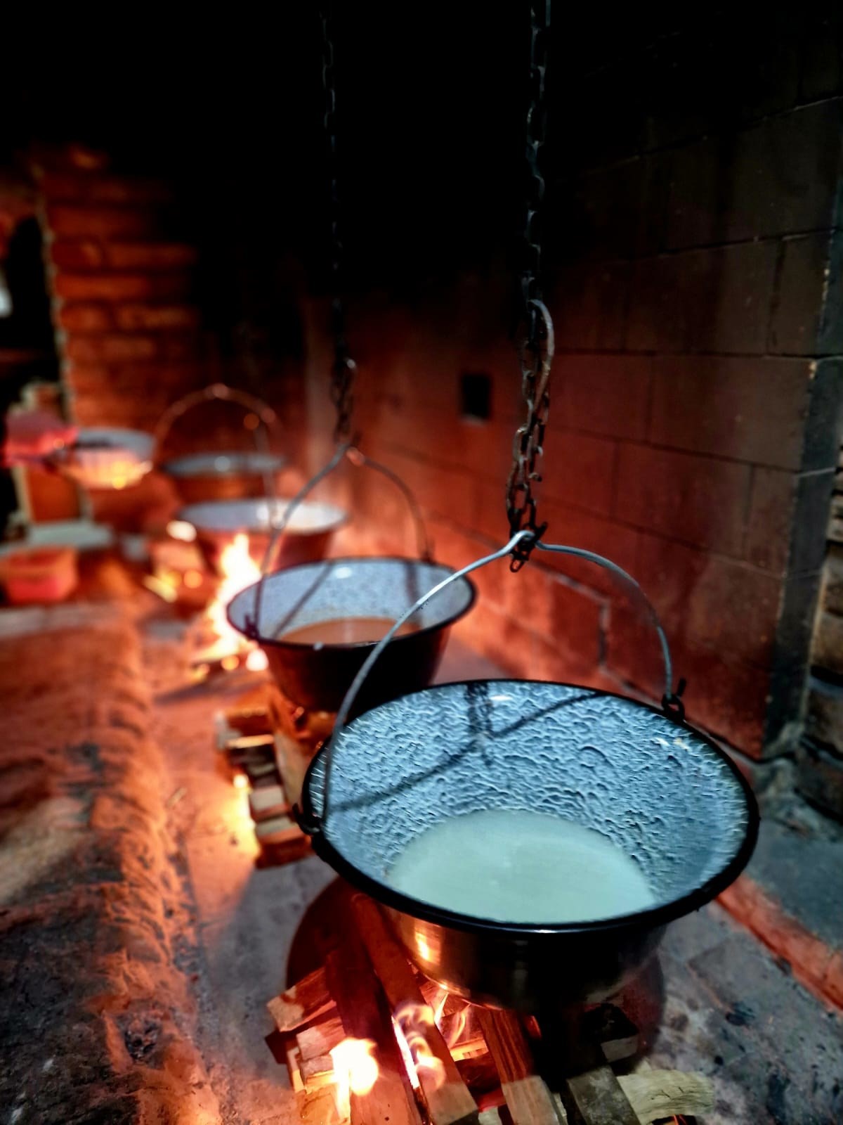 Bili smo u vinariji i restoranu u Baranji - gdje gosti mogu skuhati svoj fiš-paprikaš