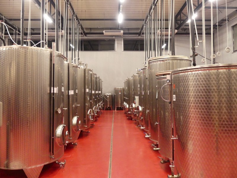 Bili smo u vinariji i restoranu u Baranji - gdje gosti mogu skuhati svoj fiš-paprikaš