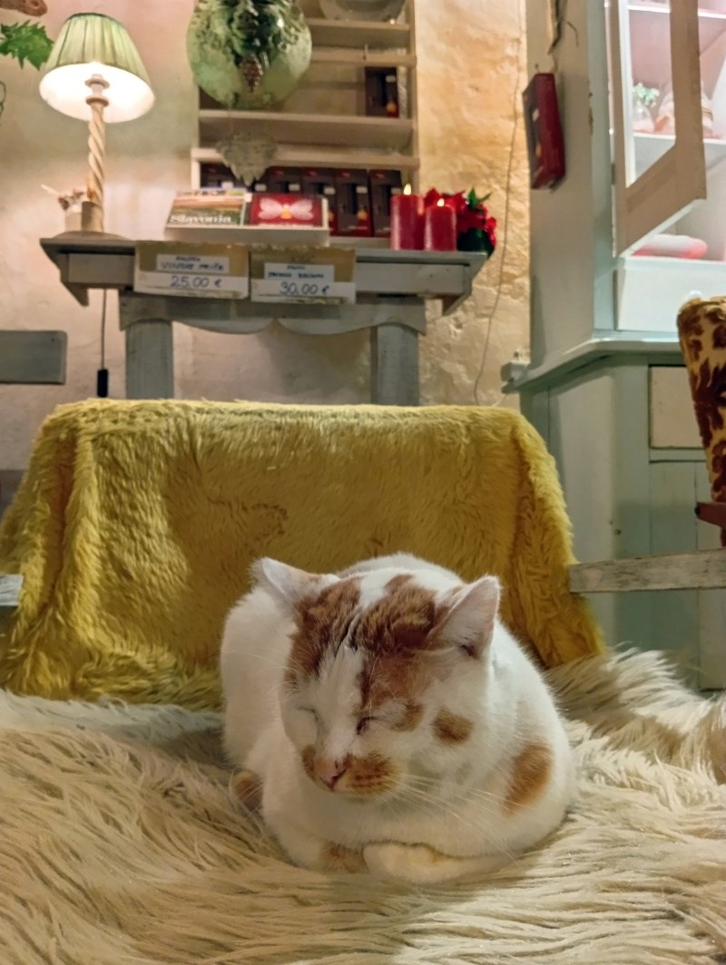 Bili smo u vinariji i restoranu u Baranji - gdje gosti mogu skuhati svoj fiš-paprikaš