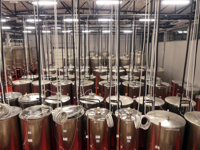 Bili smo u vinariji i restoranu u Baranji - gdje gosti mogu skuhati svoj fiš-paprikaš