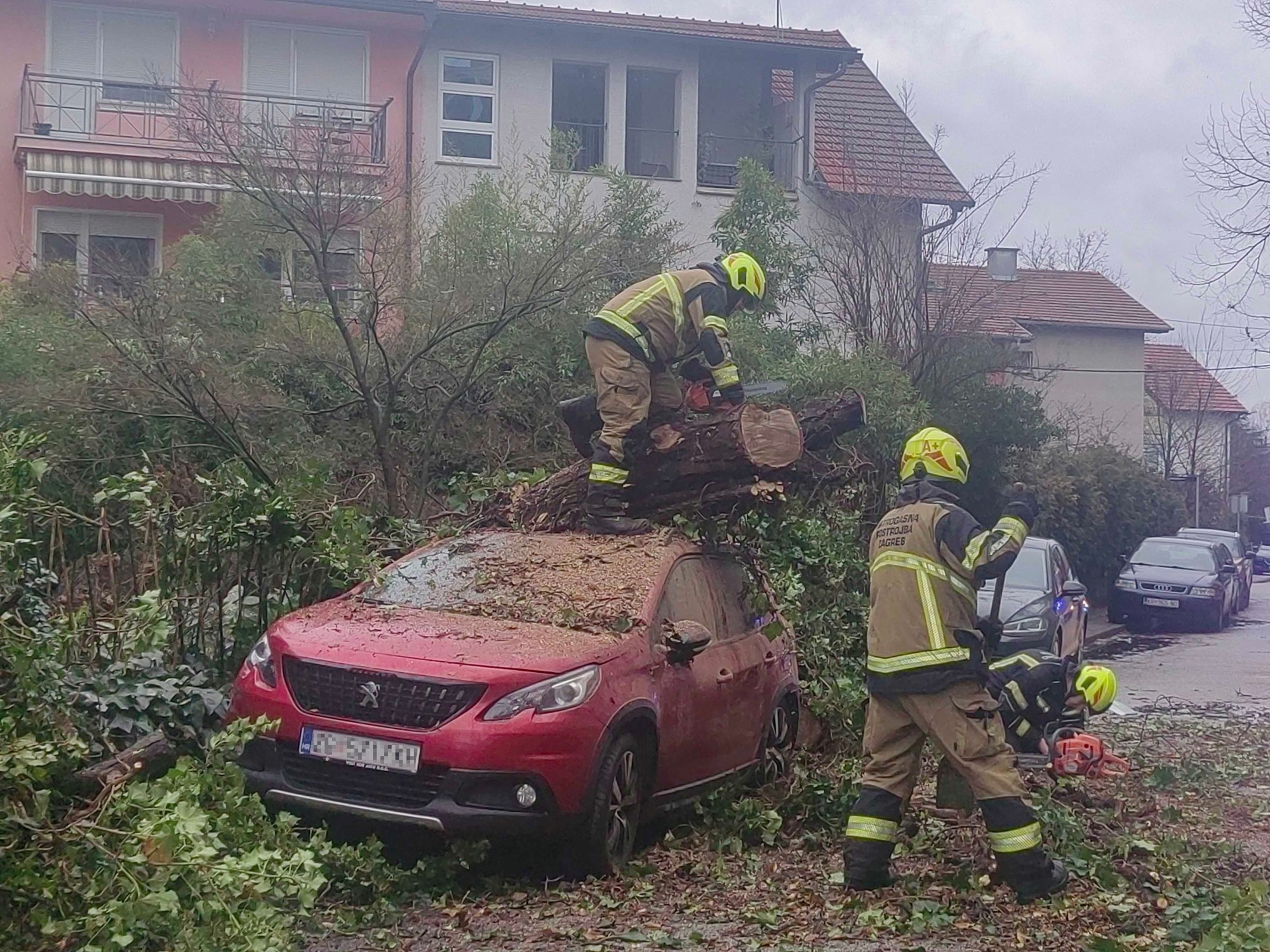 FOTO U Zagrebu stablo palo na parkirane aute
