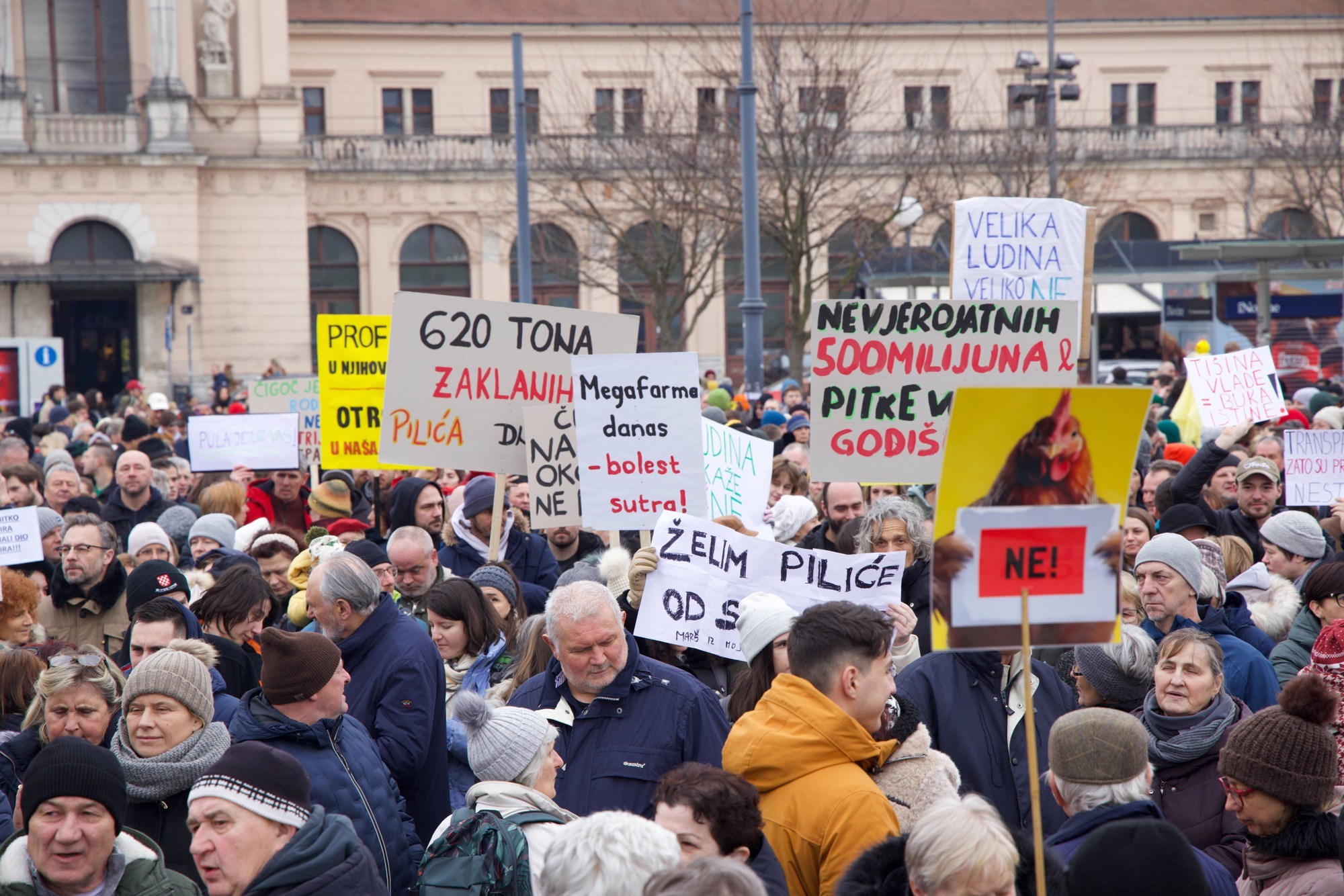 U Zagrebu prosvjed protiv sisačke farme pilića. "Ne pilićarskoj eko bombi"