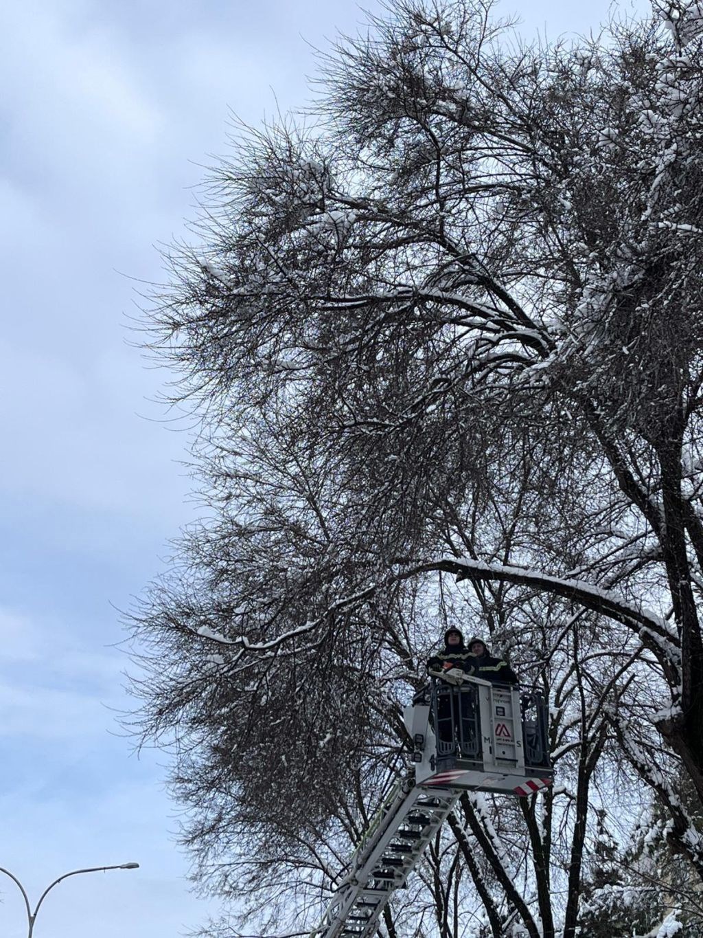 U Varaždinu palo 25 cm snijega, padala su stabla. "Očistili smo 270 km cesta"
