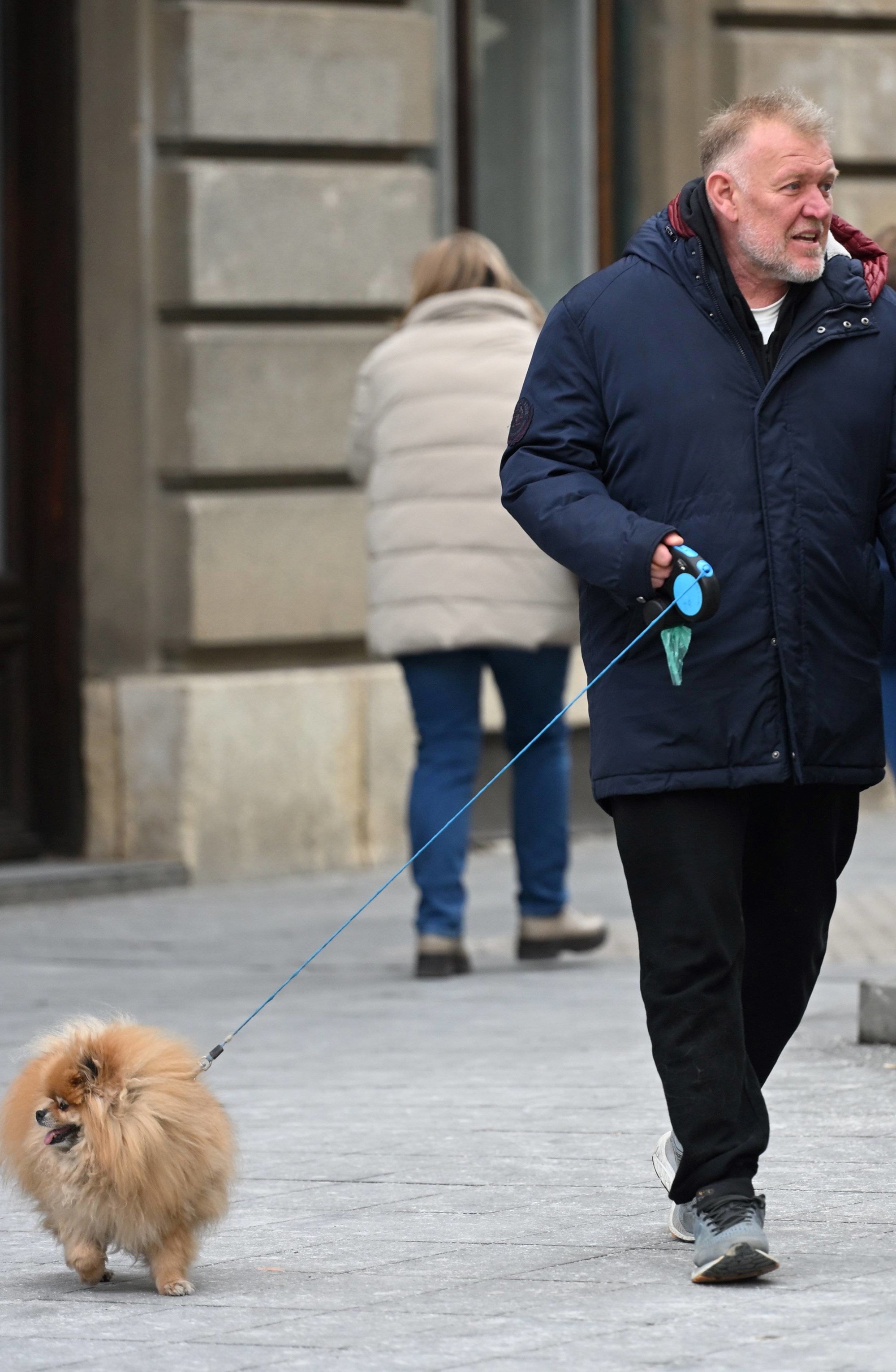 FOTO I psići su se sredili za špicu. Pogledajte preslatku galeriju