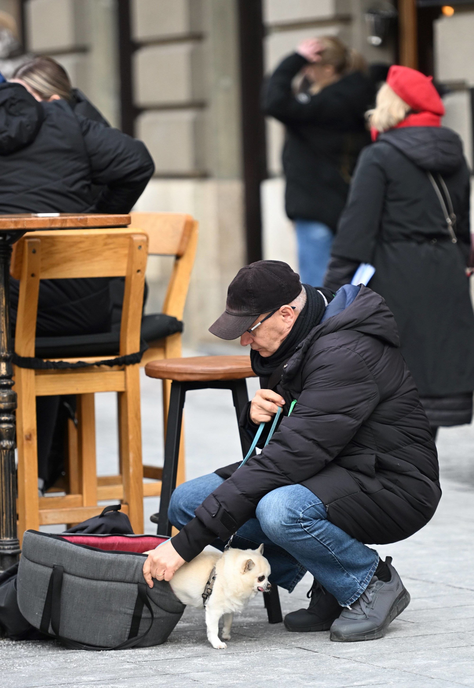 FOTO I psići su se sredili za špicu. Pogledajte preslatku galeriju
